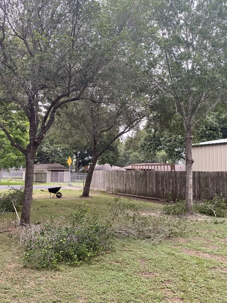 Professional lawn care service experts serving El Campo, TX - Finex Lawn Care