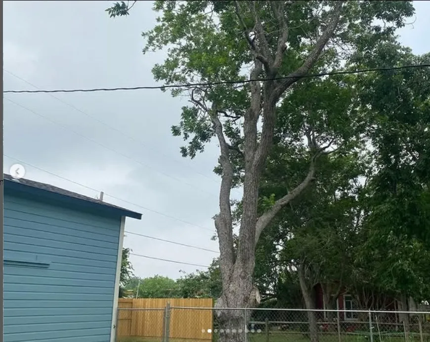 Professional outdoor landscaping in El Campo, TX - Finex Lawn Care