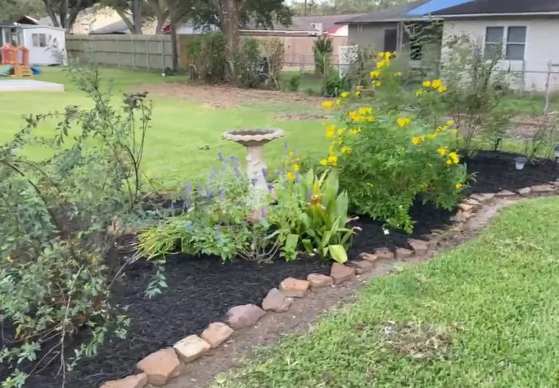 Expert yard cleanup service experts serving El Campo, TX - Finex Lawn Care