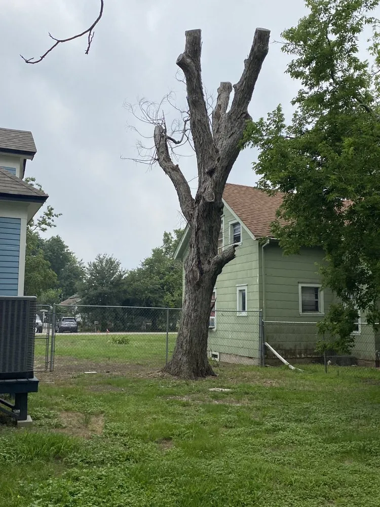 Expert yard cleanup service in El Campo, TX - Finex Lawn Care