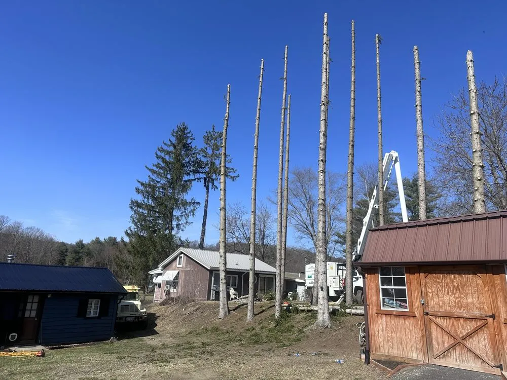 Top-rated residential landscaping for homes in Corning, NY by Finger Lakes Landscaping Tree Removal LLC