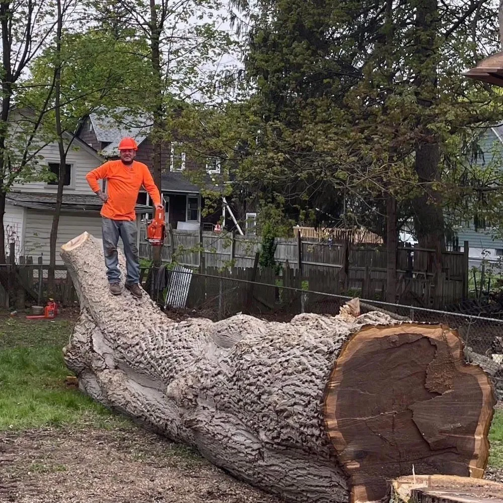 Professional lawn mowing service for year-round maintenance in Corning, NY by Finger Lakes Landscaping Tree Removal LLC