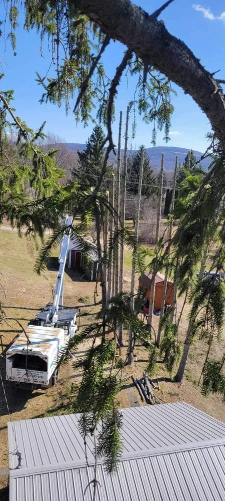 Local landscaping services in Corning, NY by Finger Lakes Landscaping Tree Removal LLC