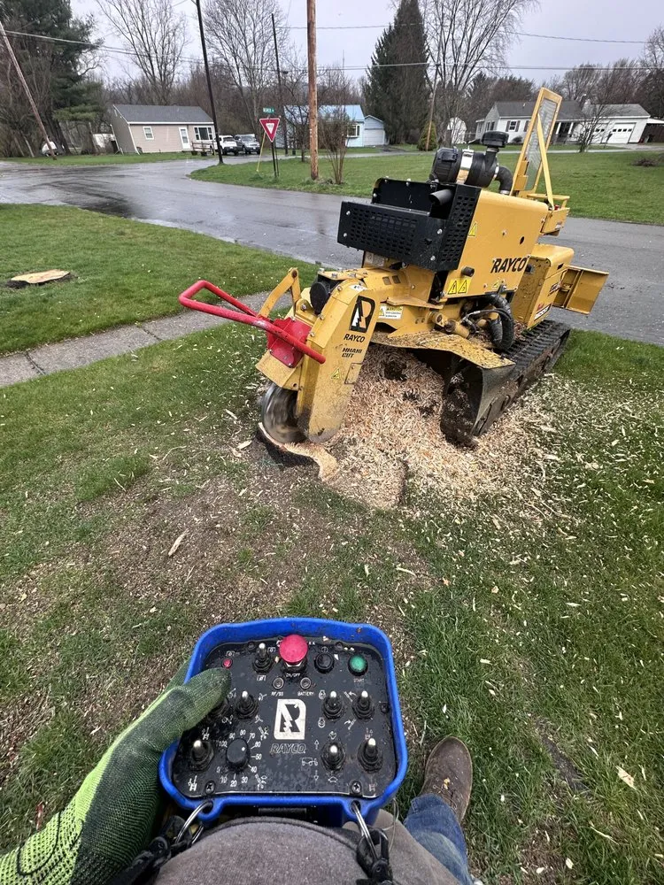 Affordable lawn care service experts serving Corning, NY - Finger Lakes Landscaping Tree Removal LLC