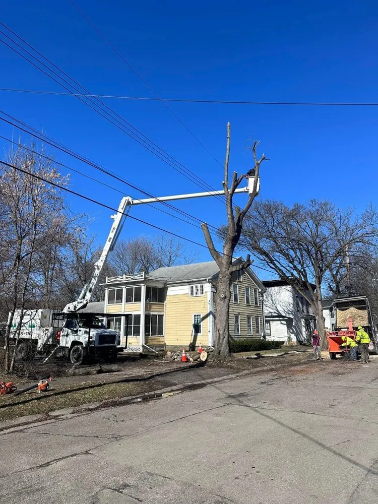 Trusted yard maintenance experts serving Corning, NY - Finger Lakes Landscaping Tree Removal LLC