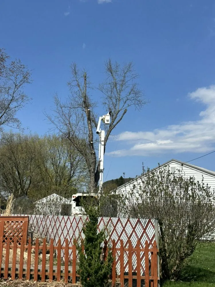 Expert residential landscaping for beautiful yards across Corning, NY - Finger Lakes Landscaping Tree Removal LLC