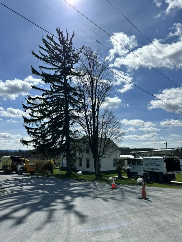 Trusted outdoor landscaping in Corning, NY - Finger Lakes Landscaping Tree Removal LLC