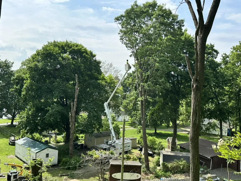 Custom yard maintenance for beautiful yards across Corning, NY - Finger Lakes Landscaping Tree Removal LLC