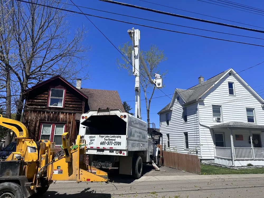 Professional yard cleanup service experts serving Corning, NY - Finger Lakes Landscaping Tree Removal LLC