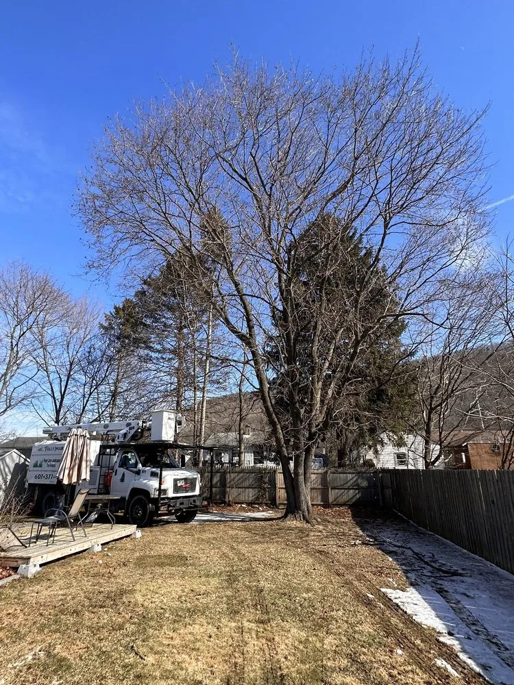 Top-rated garden landscaping in Corning, NY by Finger Lakes Landscaping Tree Removal LLC