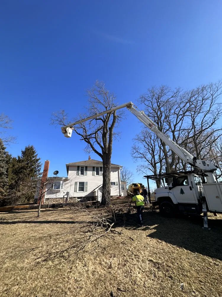Reliable garden landscaping experts serving Corning, NY - Finger Lakes Landscaping Tree Removal LLC