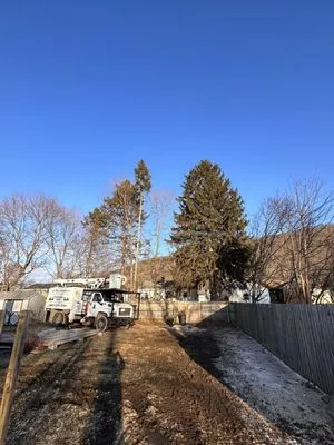Finger Lakes Landscaping Tree Removal LLC