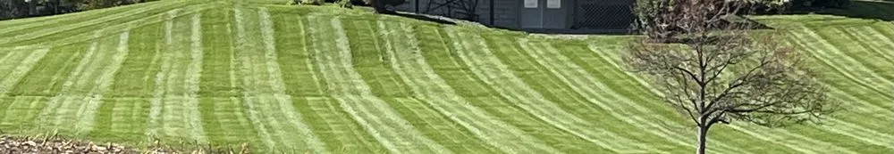 Top-rated landscaping services in Geneva, NY - Finger Lakes Turf and Landscape