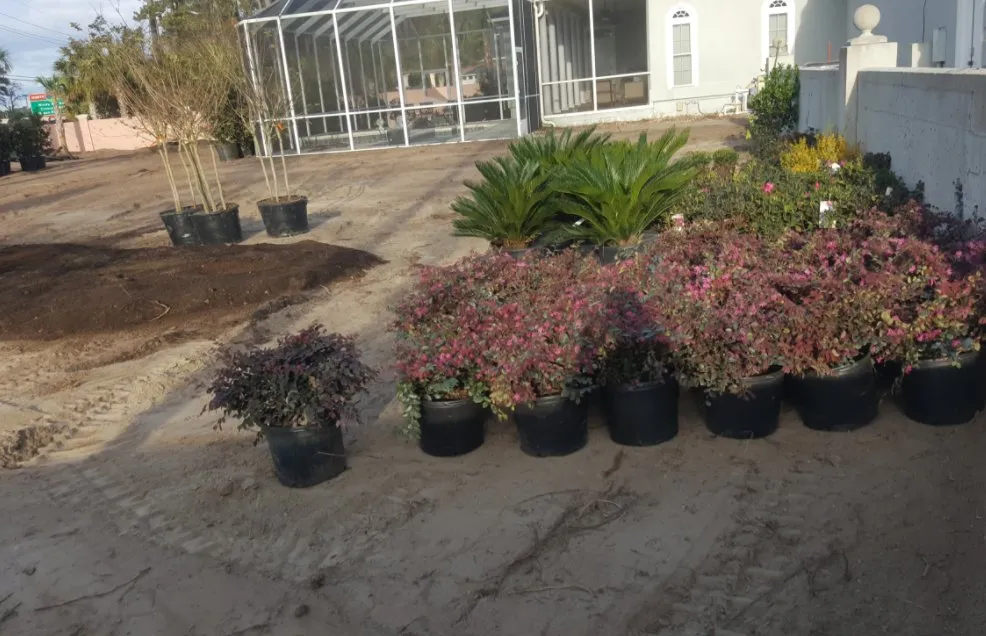 Expert landscape design for homes in Myrtle Beach, SC by Finish Cut Landscaping