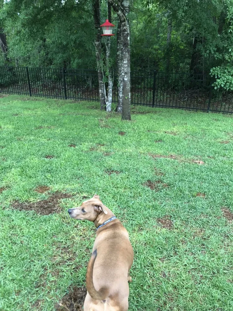 Trusted lawn care service near you across Myrtle Beach, SC - Finish Cut Landscaping