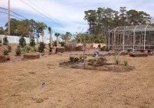 Expert yard cleanup service in Myrtle Beach, SC - Finish Cut Landscaping