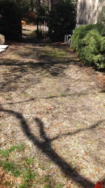 Trusted lawn mowing service in Myrtle Beach, SC by Finish Cut Landscaping