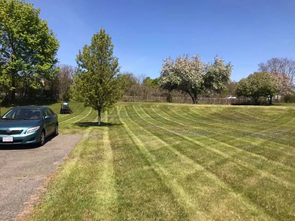 Top-rated lawn care service for year-round maintenance in Danvers, MA by Finish Lawn Care