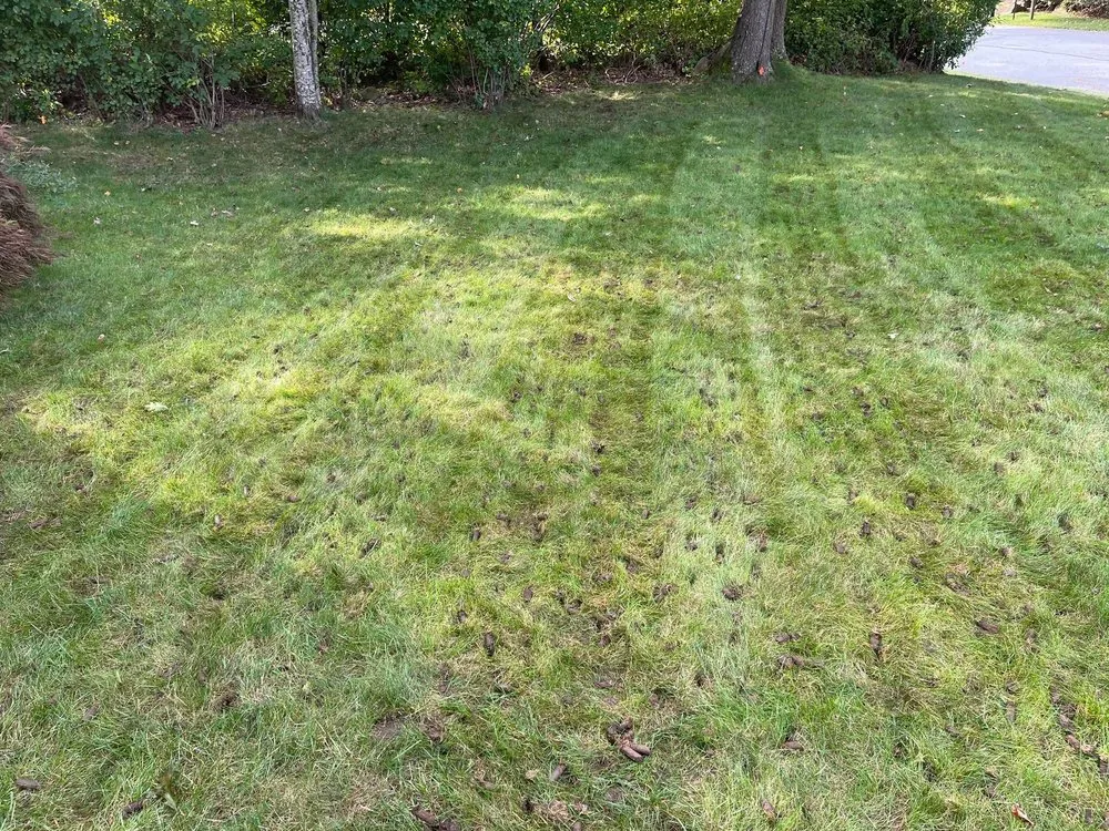 Reliable garden landscaping in Fall River, MA - Finish Line Landscaping & Maintenance