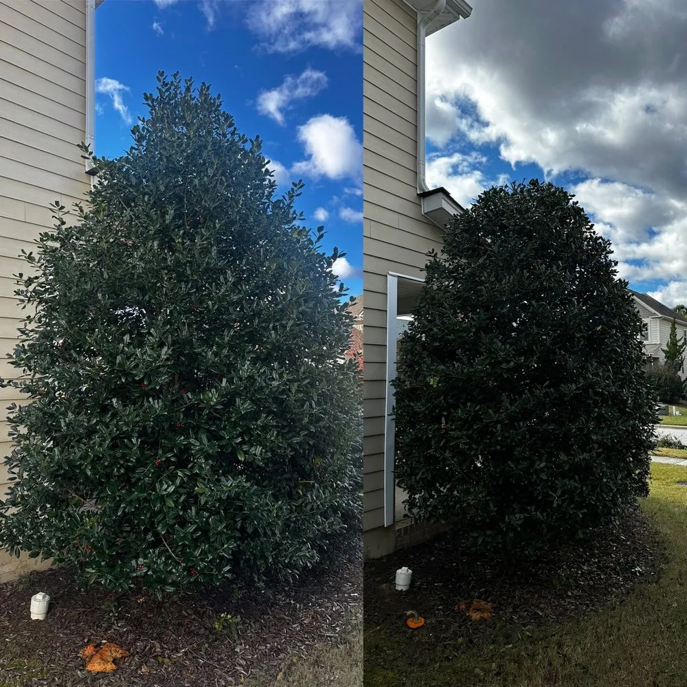 Top-rated yard cleanup service for beautiful yards across Raleigh, NC - Finish Line Lawn Care