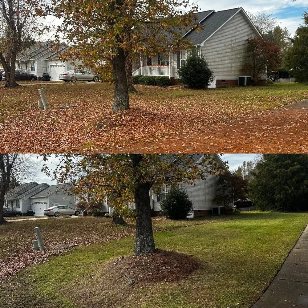 Trusted lawn care service in Raleigh, NC by Finish Line Lawn Care