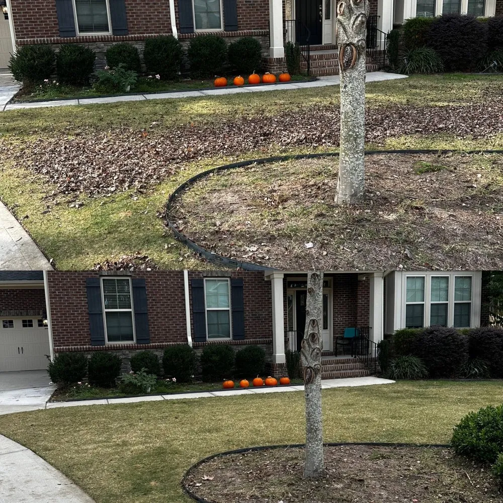 Reliable residential landscaping for year-round maintenance in Raleigh, NC by Finish Line Lawn Care