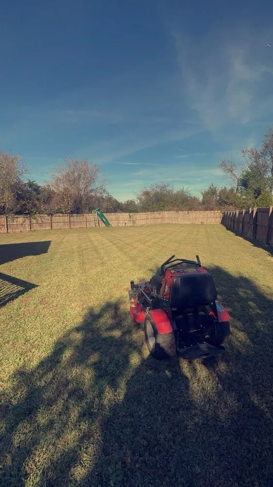 Affordable yard cleanup service in Raleigh, NC - Finish Line Lawn Care