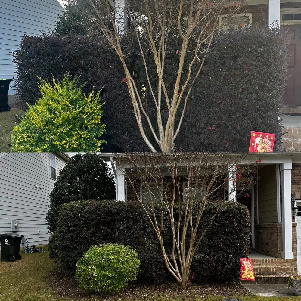 Reliable landscape installation for beautiful yards across Raleigh, NC - Finish Line Lawn Care