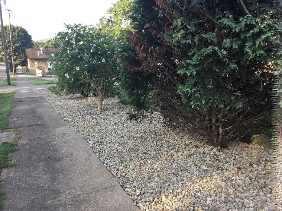 Top-rated yard cleanup service in Cambridge, OH by Finishing Touch Landscape and Lawn Care