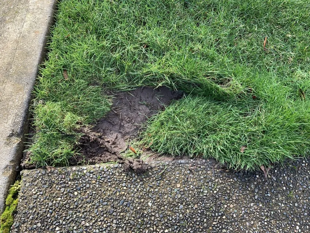 Trusted landscaping services for residential properties across Snohomish, WA - Finishing Touches Landscaping & Maintenance