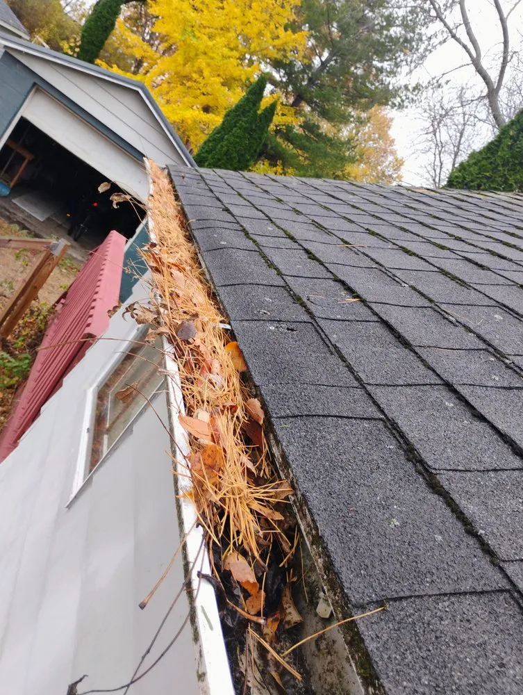 Expert lawn care service in Madison, WI - Finishing Touches Madison