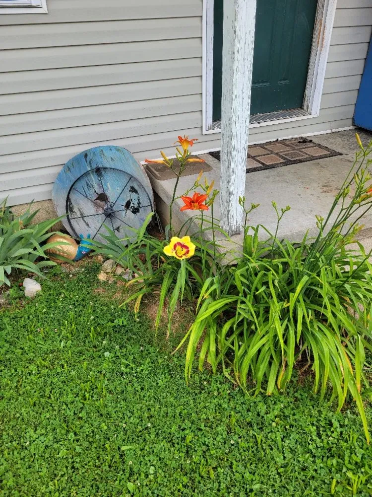 Local lawn care service for year-round maintenance across Oakland City, IN - Finishing Touches