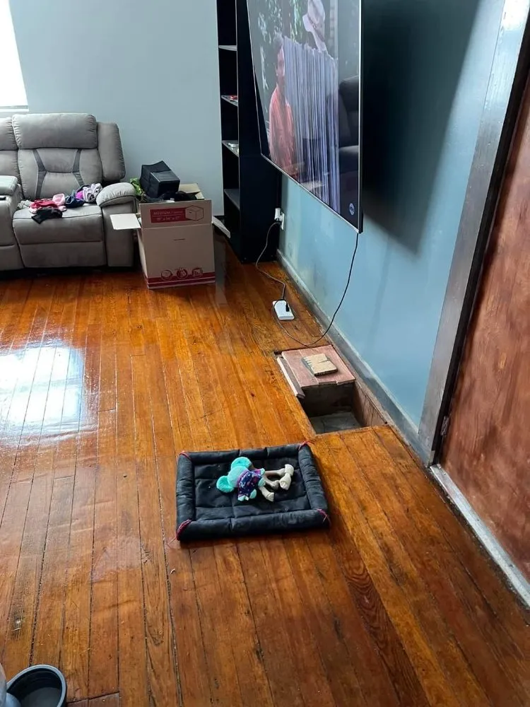 Professional garden landscaping in Oakland City, IN by Finishing Touches