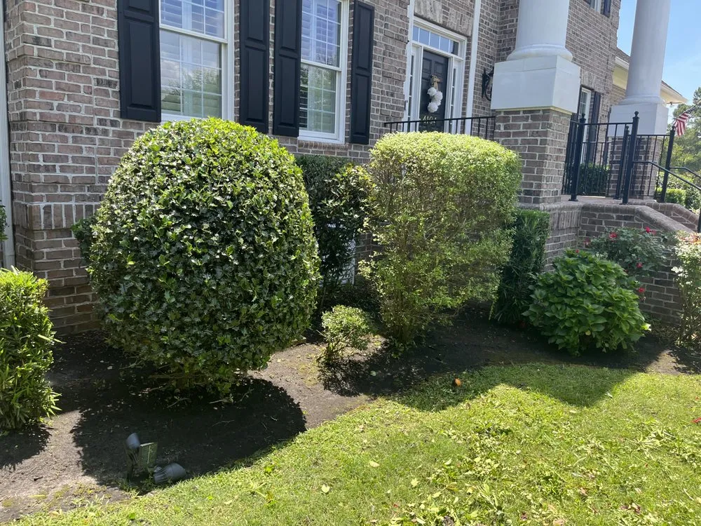 Reliable garden landscaping for year-round maintenance in Myrtle Beach, SC by Finkley Lawn Creations & Pressure Washing Services