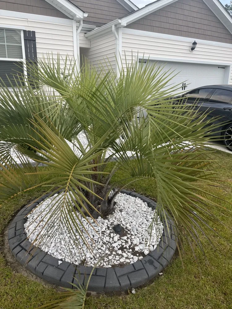 Trusted outdoor landscaping in Myrtle Beach, SC - Finkley Lawn Creations & Pressure Washing Services