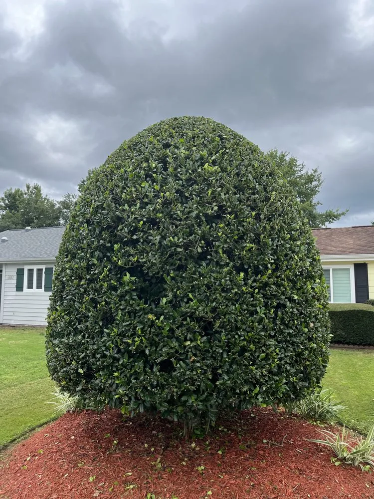 Professional garden landscaping for homes in Myrtle Beach, SC by Finkley Lawn Creations & Pressure Washing Services