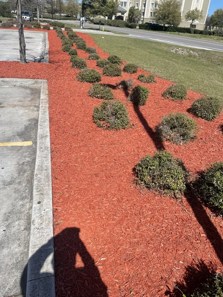 Local yard cleanup service in Myrtle Beach, SC - Finkley Lawn Creations & Pressure Washing Services