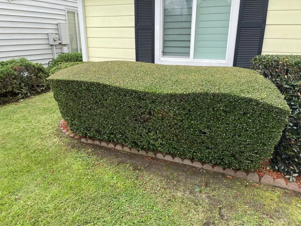 Custom residential landscaping in Myrtle Beach, SC - Finkley Lawn Creations & Pressure Washing Services