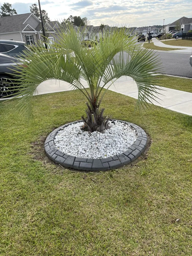 Local lawn mowing service experts serving Myrtle Beach, SC - Finkley Lawn Creations & Pressure Washing Services