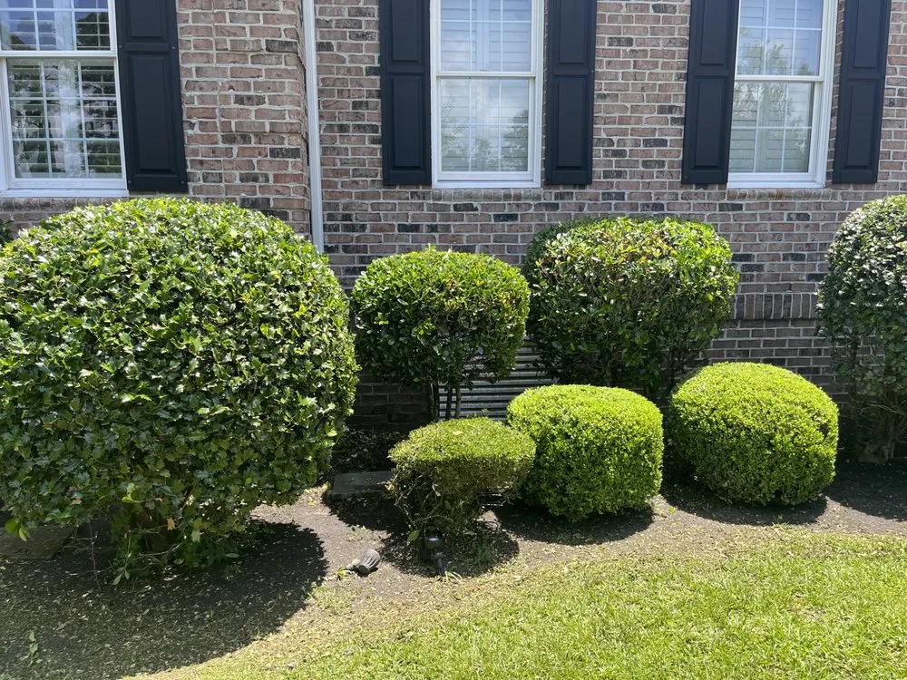 Custom lawn care service for outdoor upgrades in Myrtle Beach, SC by Finkley Lawn Creations & Pressure Washing Services