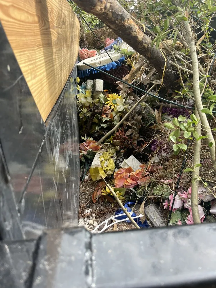 Expert yard maintenance in Myrtle Beach, SC - Finkley Lawn Creations & Pressure Washing Services