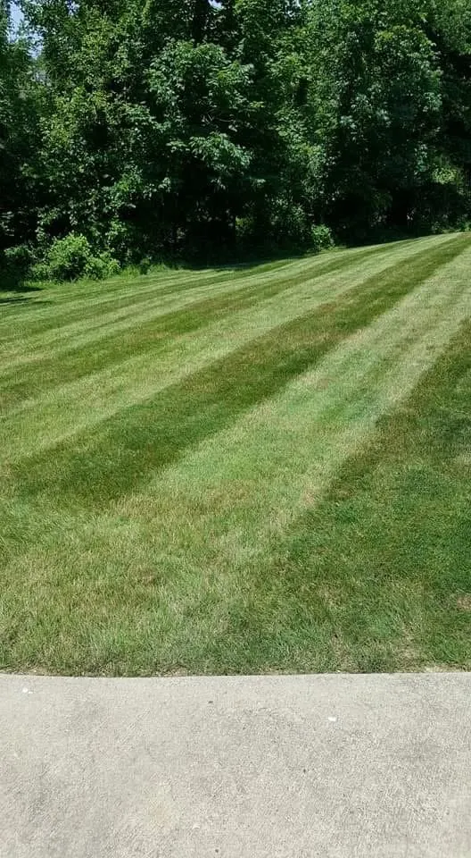 Expert landscape installation for homes in Irwin, PA by Finlay’s Lawn and Landscape