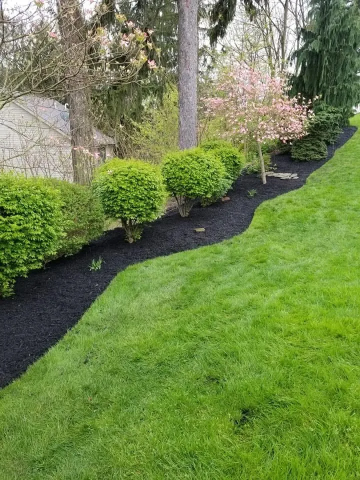 Expert yard cleanup service experts serving Irwin, PA - Finlay’s Lawn and Landscape