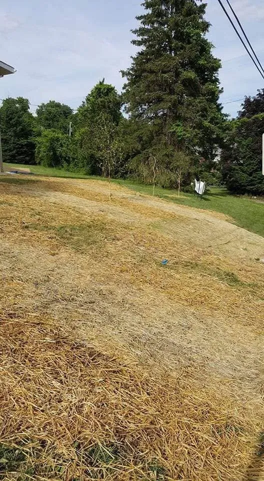 Trusted garden landscaping experts serving Irwin, PA - Finlay’s Lawn and Landscape