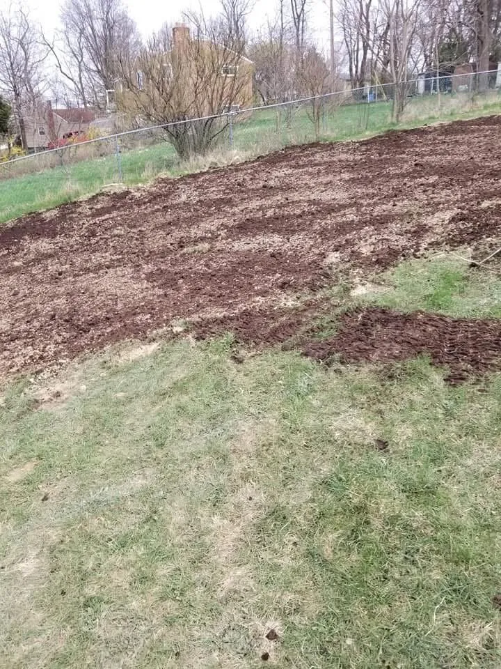 Trusted yard cleanup service for outdoor upgrades in Irwin, PA by Finlay’s Lawn and Landscape