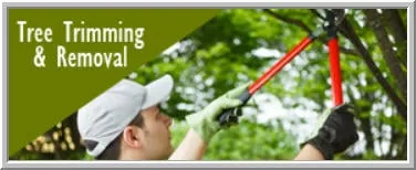 Local yard cleanup service experts serving Neshannock, PA - Finley's Services