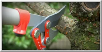 Top-rated garden landscaping in Neshannock, PA by Finley's Services