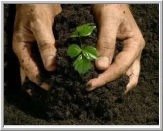 Reliable residential landscaping in Neshannock, PA by Finley's Services