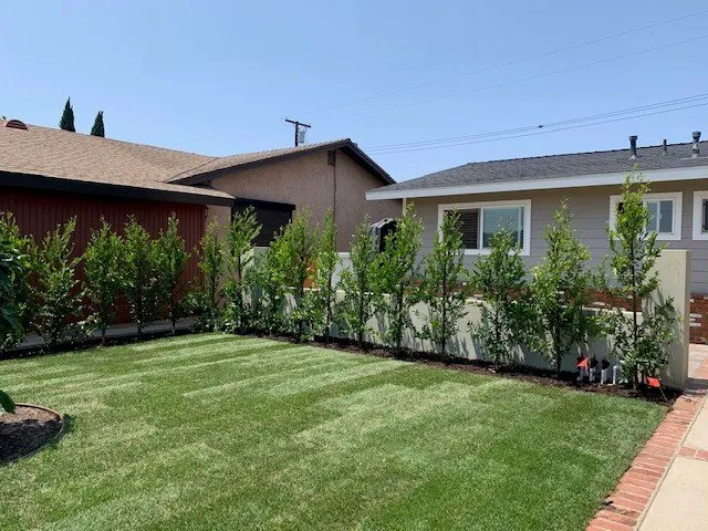 Affordable landscaping services near you across Torrance, CA - Finley's Tree and Land Care