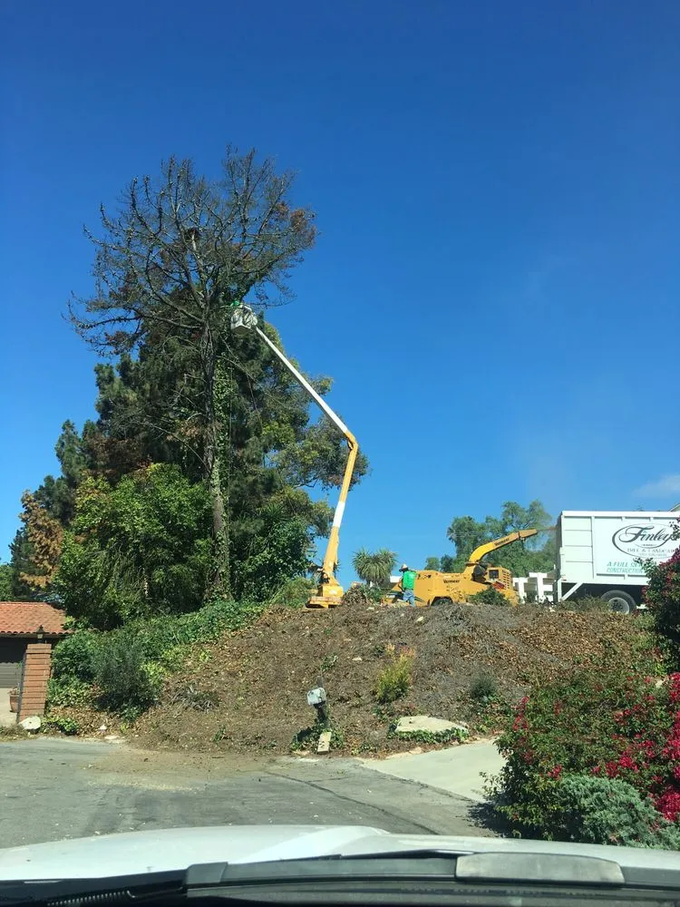 Local garden landscaping in Torrance, CA by Finley's Tree and Land Care